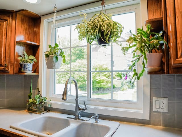 Bright kitchen with hanging plants