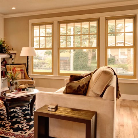 ProVia Double Hung Windows